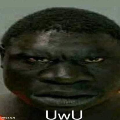 UwU | image tagged in uwu | made w/ Imgflip meme maker