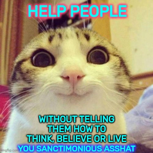 sanctimonious[ sangk-tuh-moh-nee-uhs ] adjectivemaking a hypocritical show of religious devotion, piety, righteousness, etc. | HELP PEOPLE; WITHOUT TELLING THEM HOW TO THINK, BELIEVE OR LIVE; YOU SANCTIMONIOUS ASSHAT | image tagged in memes,smiling cat,sanctimonious,hypocrites,empathy,be quiet and help | made w/ Imgflip meme maker