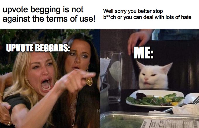 DIE BEGGAR | upvote begging is not against the terms of use! Well sorry you better stop b**ch or you can deal with lots of hate; UPVOTE BEGGARS:; ME: | image tagged in memes,woman yelling at cat | made w/ Imgflip meme maker