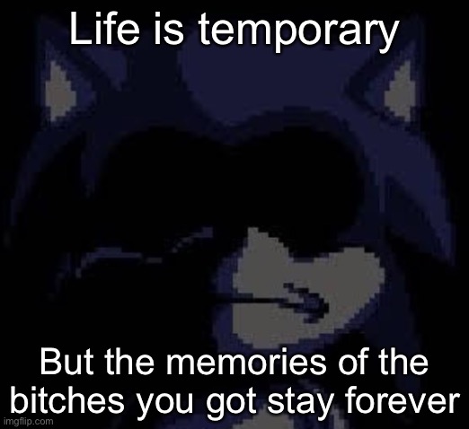 Lord X | Life is temporary; But the memories of the bitches you got stay forever | image tagged in lord x | made w/ Imgflip meme maker