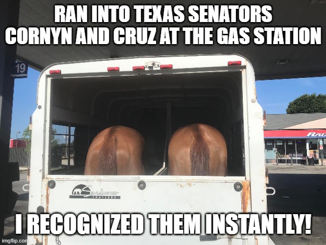 Ted Cruz & John Cornyn | RAN INTO TEXAS SENATORS CORNYN AND CRUZ AT THE GAS STATION; I RECOGNIZED THEM INSTANTLY! | image tagged in ted cruz | made w/ Imgflip meme maker