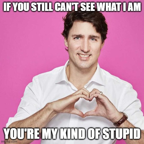 Trudeau | IF YOU STILL CAN'T SEE WHAT I AM; YOU'RE MY KIND OF STUPID | image tagged in trudeau | made w/ Imgflip meme maker