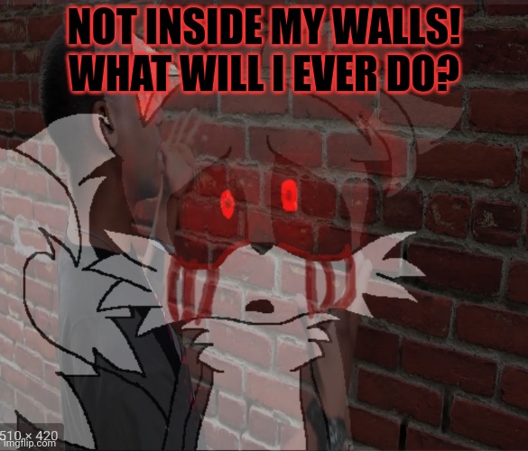 NOT INSIDE MY WALLS! WHAT WILL I EVER DO? | made w/ Imgflip meme maker
