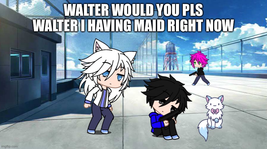 Maid | WALTER WOULD YOU PLS WALTER I HAVING MAID RIGHT NOW | image tagged in maid | made w/ Imgflip meme maker