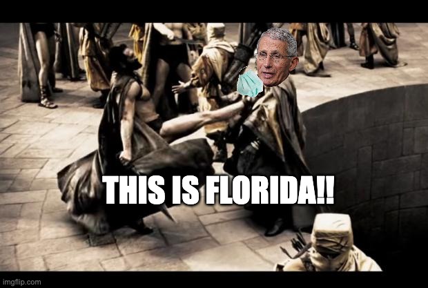 This Is Florida! | THIS IS FLORIDA!! | image tagged in spartan kick | made w/ Imgflip meme maker