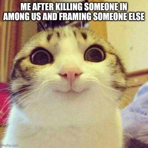 Smiling Cat |  ME AFTER KILLING SOMEONE IN AMONG US AND FRAMING SOMEONE ELSE | image tagged in memes,smiling cat | made w/ Imgflip meme maker