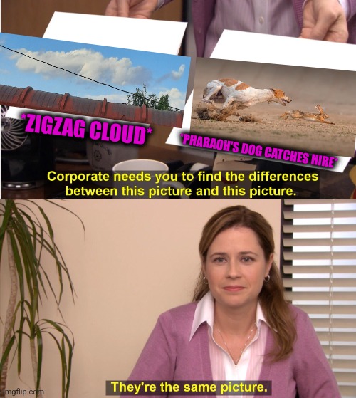 -Win or loose. | *ZIGZAG CLOUD*; *PHARAOH'S DOG CATCHES HIRE* | image tagged in memes,they're the same picture,ziggy,new hampshire,raydog,totally looks like | made w/ Imgflip meme maker