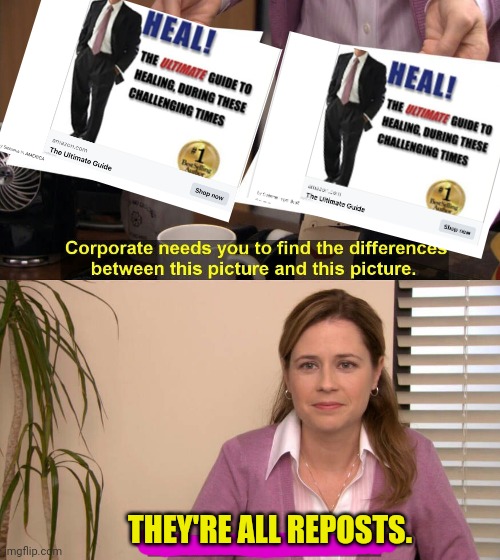 They are the same picture | THEY'RE ALL REPOSTS. | image tagged in they are the same picture | made w/ Imgflip meme maker