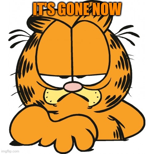 Garfield | IT'S GONE NOW | image tagged in garfield | made w/ Imgflip meme maker