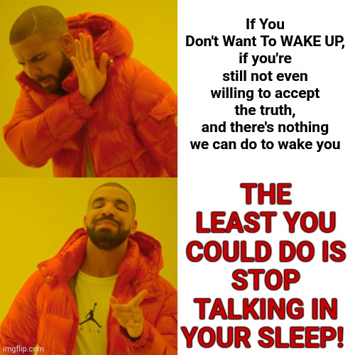 Trumpublicans Think Woke Is Bad And Nazis Are Good.  That's Called "Brainwashed" | THE LEAST YOU COULD DO IS STOP TALKING IN YOUR SLEEP! If You Don't Want To WAKE UP,
if you're still not even willing to accept the truth,
and there's nothing we can do to wake you | image tagged in memes,drake hotline bling,talking in your sleep,stfu,get in sit down and shut up,woke | made w/ Imgflip meme maker