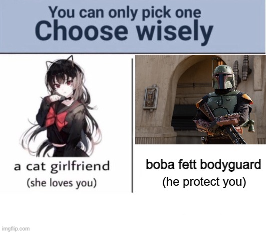 Choose wisely | boba fett bodyguard; (he protect you) | image tagged in choose wisely | made w/ Imgflip meme maker