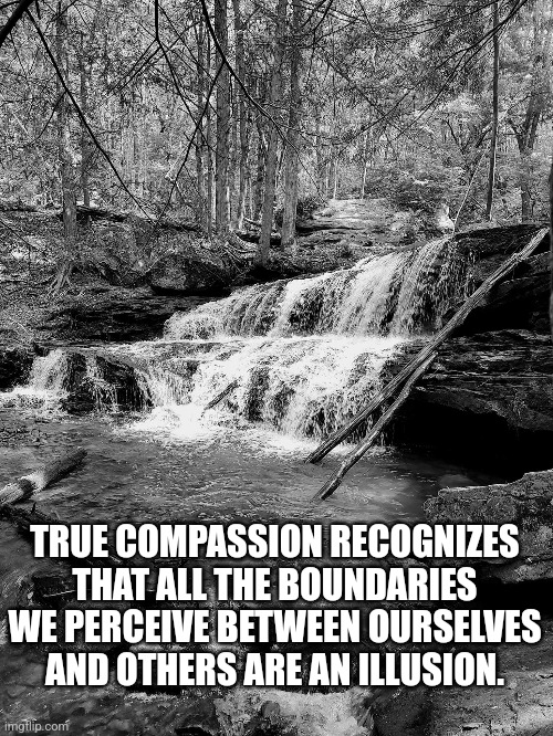 True Compassion | TRUE COMPASSION RECOGNIZES THAT ALL THE BOUNDARIES WE PERCEIVE BETWEEN OURSELVES AND OTHERS ARE AN ILLUSION. | image tagged in compassion,differences,better world,kindness | made w/ Imgflip meme maker