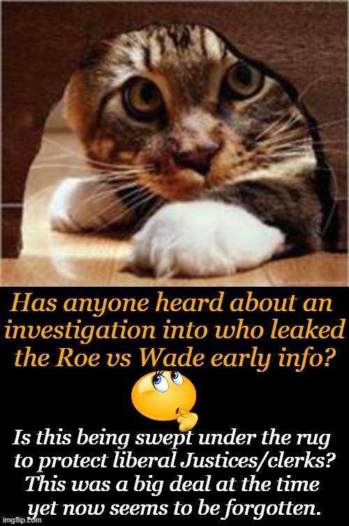 Asking for a friend.... | image tagged in politics,roe vs wade,leaks,supreme court,justice or just us,investigation | made w/ Imgflip meme maker