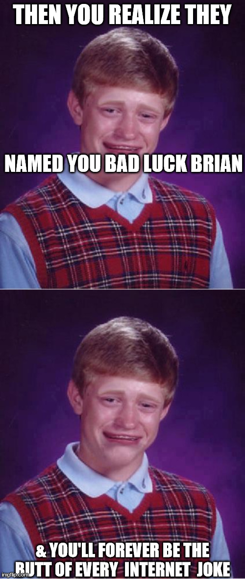 THEN YOU REALIZE THEY NAMED YOU BAD LUCK BRIAN & YOU'LL FOREVER BE THE BUTT OF EVERY  INTERNET  JOKE | made w/ Imgflip meme maker