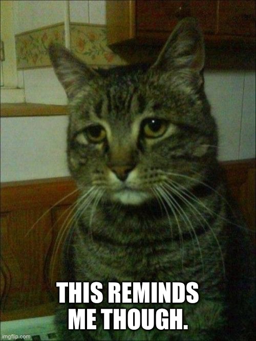 Depressed Cat Meme | THIS REMINDS ME THOUGH. | image tagged in memes,depressed cat | made w/ Imgflip meme maker