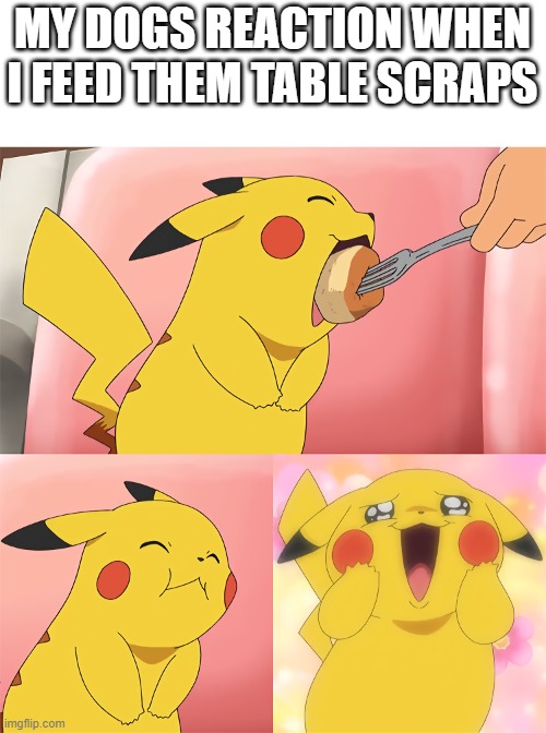 dog food | MY DOGS REACTION WHEN I FEED THEM TABLE SCRAPS | image tagged in pikachu loves food,pokemon,dog,dog memes,work | made w/ Imgflip meme maker