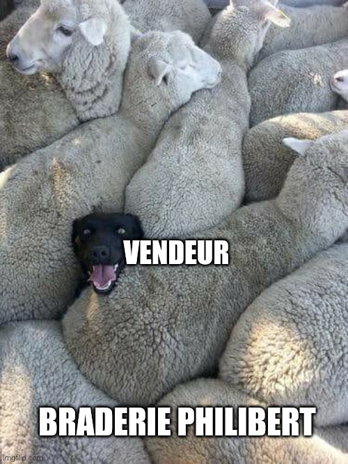 Flock of sheep  | VENDEUR; BRADERIE PHILIBERT | image tagged in flock of sheep | made w/ Imgflip meme maker