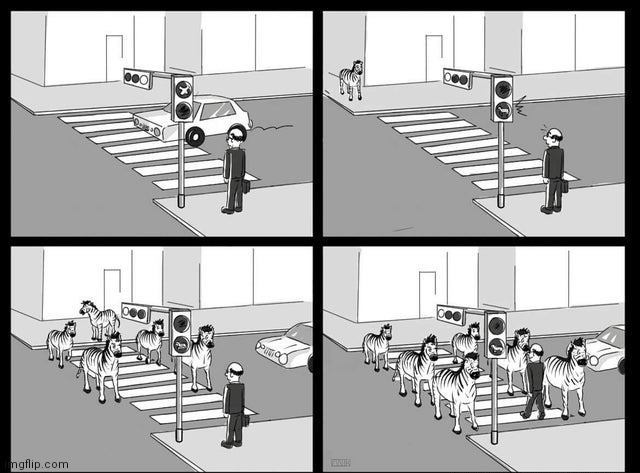 Zebras crossing | image tagged in zebras,zebra,crossing,street,comics,comics/cartoons | made w/ Imgflip meme maker