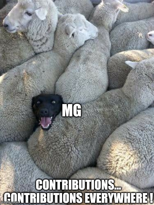 Flock of sheep  | MG; CONTRIBUTIONS...
CONTRIBUTIONS EVERYWHERE ! | image tagged in flock of sheep | made w/ Imgflip meme maker