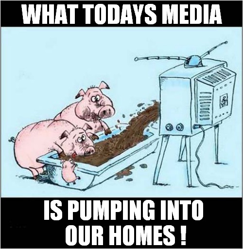 Modern TV Times ! | WHAT TODAYS MEDIA; IS PUMPING INTO
 OUR HOMES ! | image tagged in television,pigs,swill | made w/ Imgflip meme maker
