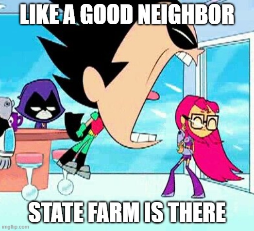 robin yelling at starfire | LIKE A GOOD NEIGHBOR; STATE FARM IS THERE | image tagged in robin yelling at starfire | made w/ Imgflip meme maker