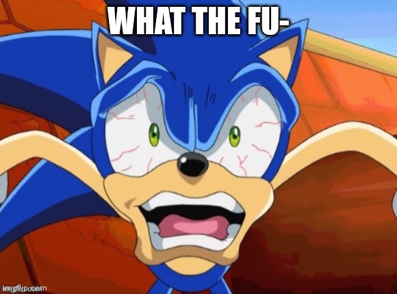 Sonic Scared Face | WHAT THE FU- | image tagged in sonic scared face | made w/ Imgflip meme maker