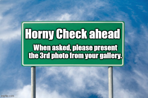 Street Sign | Horny Check ahead; When asked, please present the 3rd photo from your gallery. | image tagged in street sign | made w/ Imgflip meme maker