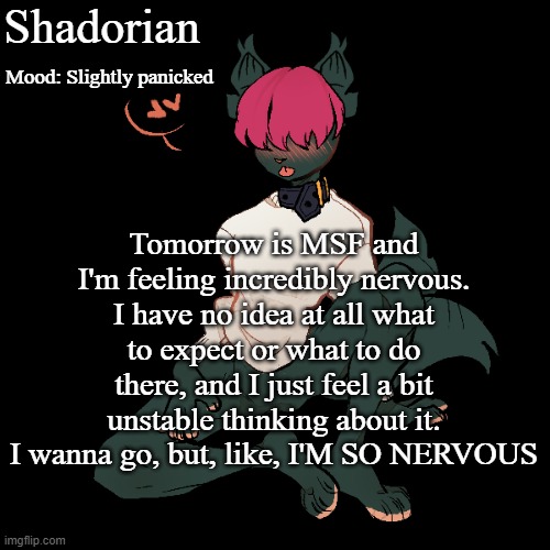 Help | Shadorian; Mood: Slightly panicked; Tomorrow is MSF and I'm feeling incredibly nervous. I have no idea at all what to expect or what to do there, and I just feel a bit unstable thinking about it. I wanna go, but, like, I'M SO NERVOUS | image tagged in yes | made w/ Imgflip meme maker
