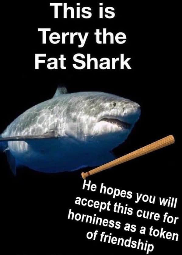 High Quality Terry the fat shark Blank Meme Template