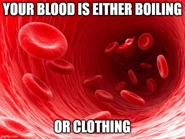 Your blood is either boiling or clothing - Imgflip