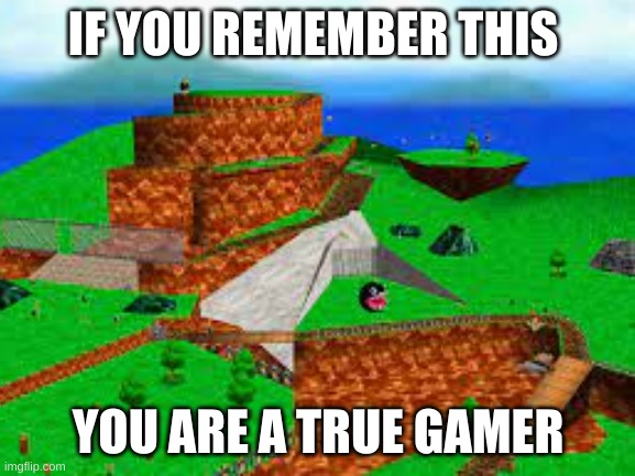 IF YOU REMEMBER THIS; YOU ARE A TRUE GAMER | image tagged in gaming | made w/ Imgflip meme maker
