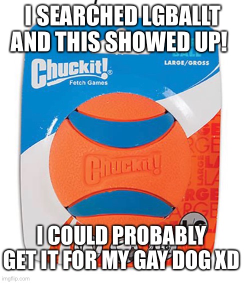 AND THIS SHOWED UP! I SEARCHED LGBALLT; I COULD PROBABLY GET IT FOR MY GAY DOG XD | made w/ Imgflip meme maker