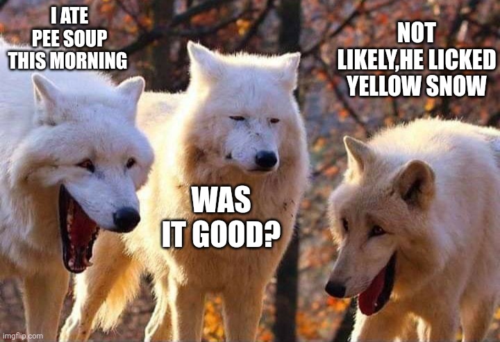 Laughing wolf | I ATE PEE SOUP THIS MORNING; NOT LIKELY,HE LICKED YELLOW SNOW; WAS IT GOOD? | image tagged in laughing wolf | made w/ Imgflip meme maker