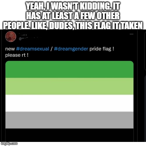 YEAH, I WASN'T KIDDING. IT HAS AT LEAST A FEW OTHER PEOPLE. LIKE, DUDES, THIS FLAG IT TAKEN | made w/ Imgflip meme maker
