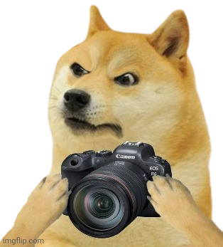 Doge camera Blank Meme Template