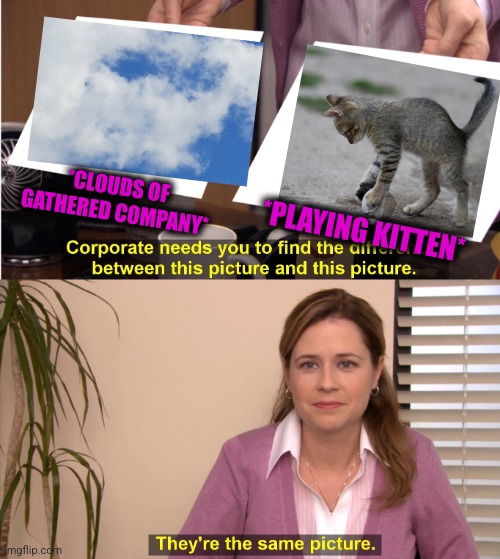 -Kitten such little! | *CLOUDS OF GATHERED COMPANY*; *PLAYING KITTEN* | image tagged in memes,they're the same picture,cute kittens,play on words,soundcloud,totally looks like | made w/ Imgflip meme maker