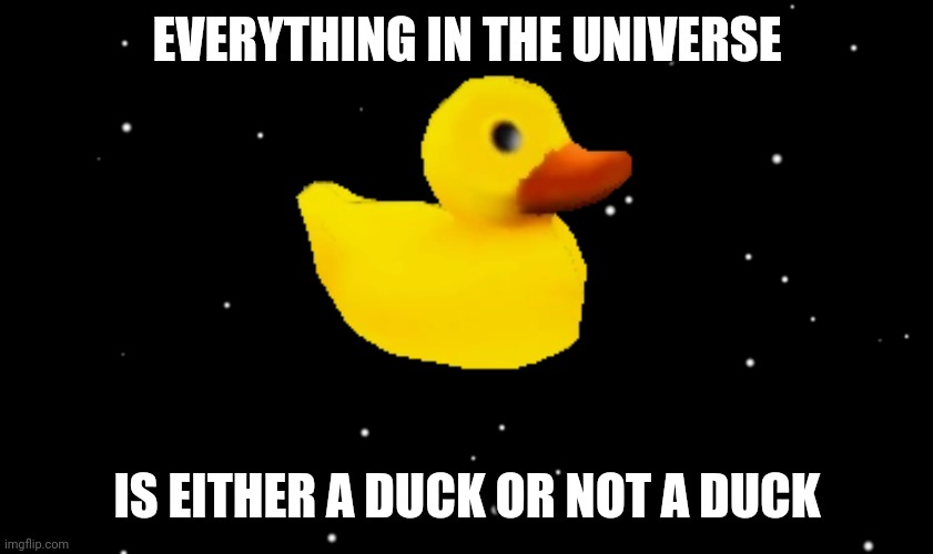 Among Us ejected | EVERYTHING IN THE UNIVERSE; IS EITHER A DUCK OR NOT A DUCK | image tagged in among us ejected | made w/ Imgflip meme maker