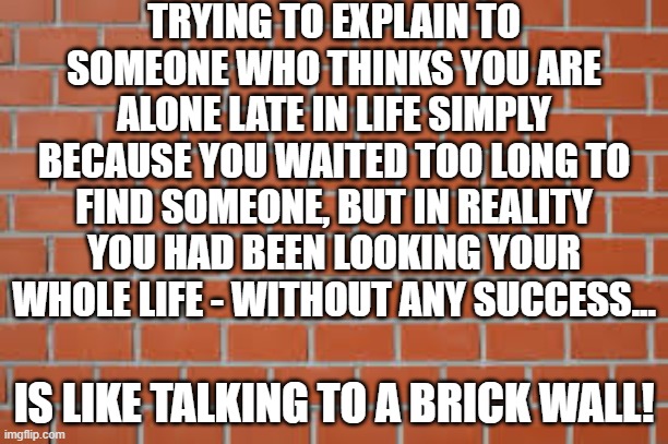 Like A Brick Wall | TRYING TO EXPLAIN TO SOMEONE WHO THINKS YOU ARE ALONE LATE IN LIFE SIMPLY BECAUSE YOU WAITED TOO LONG TO FIND SOMEONE, BUT IN REALITY YOU HAD BEEN LOOKING YOUR WHOLE LIFE - WITHOUT ANY SUCCESS... IS LIKE TALKING TO A BRICK WALL! | image tagged in brick wall,memes,so true memes,reality,real life,life sucks | made w/ Imgflip meme maker
