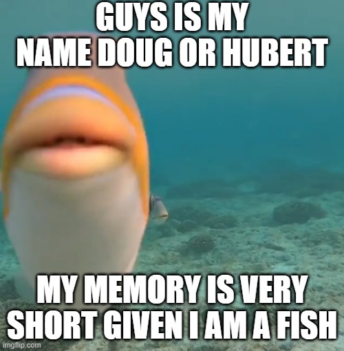 hubert | GUYS IS MY NAME DOUG OR HUBERT; MY MEMORY IS VERY SHORT GIVEN I AM A FISH | image tagged in do you fart | made w/ Imgflip meme maker