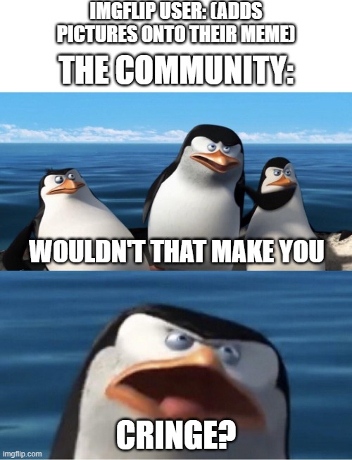 What's the problem with adding pictures to a meme? | IMGFLIP USER: (ADDS PICTURES ONTO THEIR MEME); THE COMMUNITY:; WOULDN'T THAT MAKE YOU; CRINGE? | image tagged in wouldn't that make you | made w/ Imgflip meme maker