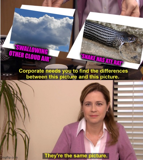 -Yummy. | *SWALLOWING OTHER CLOUD AIR*; *SNAKE HAS ATE RAT* | image tagged in memes,they're the same picture,wildlife,warning snake,totally looks like,soundcloud | made w/ Imgflip meme maker