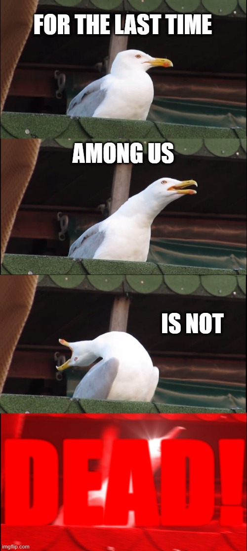 Inhaling Seagull Meme | FOR THE LAST TIME; AMONG US; IS NOT; DEAD! | image tagged in memes,inhaling seagull | made w/ Imgflip meme maker