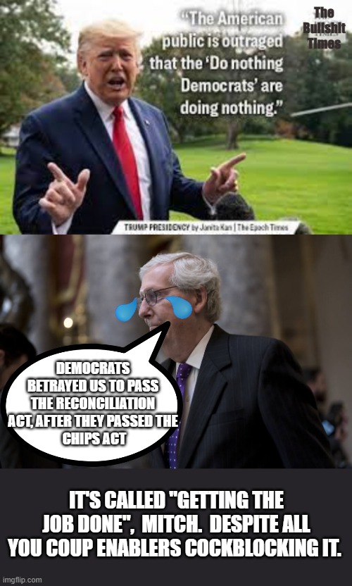 Democrats betray republicans | The
Bullshit
Times; DEMOCRATS BETRAYED US TO PASS THE RECONCILIATION ACT, AFTER THEY PASSED THE
 CHIPS ACT; IT'S CALLED "GETTING THE JOB DONE",  MITCH.  DESPITE ALL YOU COUP ENABLERS COCKBLOCKING IT. | image tagged in grim reaper,turtle man,mitch,job done | made w/ Imgflip meme maker