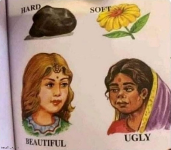 There's a race in the world and so far white is winning | image tagged in racist,white,beautiful,indian,ugly | made w/ Imgflip meme maker