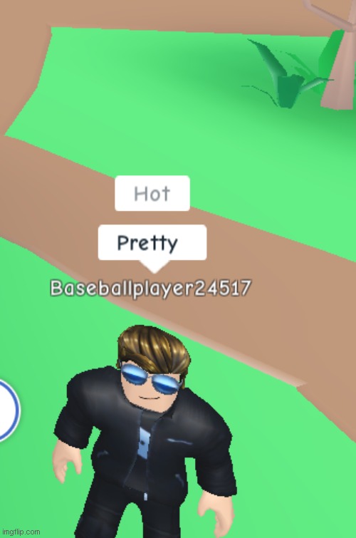 Hot and pretty says the noob {ROBLOX} | image tagged in noob,brownhair,idiot,skull,roblox,meme | made w/ Imgflip meme maker