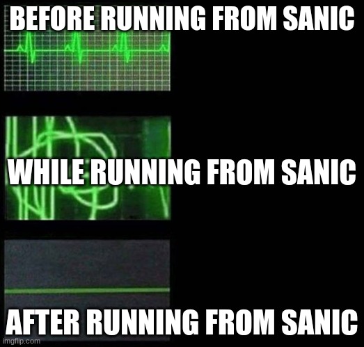 Run | BEFORE RUNNING FROM SANIC; WHILE RUNNING FROM SANIC; AFTER RUNNING FROM SANIC | image tagged in heartbeat empty template,sanic | made w/ Imgflip meme maker