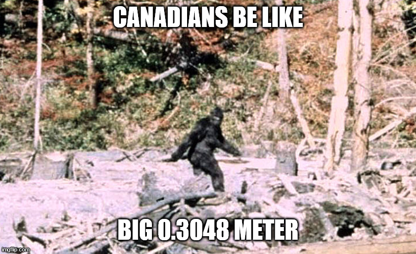 BigFoot |  CANADIANS BE LIKE; BIG 0.3048 METER | image tagged in metric,imperial,bigfoot,bear,battlestar galactica,beets | made w/ Imgflip meme maker