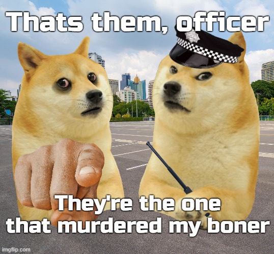 Thats them, officer; They're the one that murdered my boner | image tagged in memes,doge | made w/ Imgflip meme maker