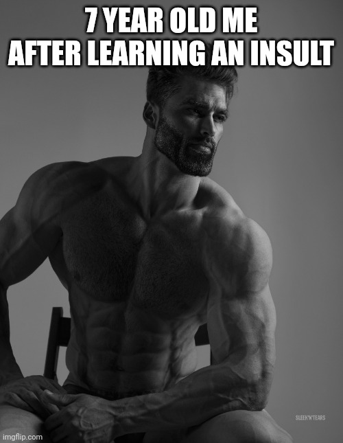 Mom I just learned I new insult | 7 YEAR OLD ME AFTER LEARNING AN INSULT | image tagged in giga chad | made w/ Imgflip meme maker