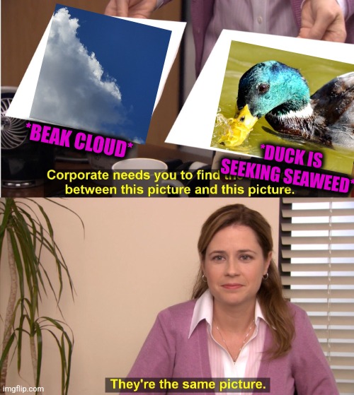 -Wack, wack. | *BEAK CLOUD*; *DUCK IS SEEKING SEAWEED* | image tagged in memes,they're the same picture,duck face chicks,clouds,totally looks like,waterfall | made w/ Imgflip meme maker